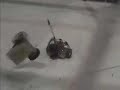 Battle Beach 4: Spiffy Little Buddy vs. Ant From Hell