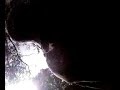 épilage d\ épilage d\