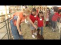 VÍDEO: Superagro Minas 2013 tem programação especial para as crianças