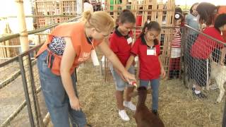 VÍDEO: Superagro Minas 2013 tem programação especial para as crianças