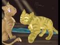 Destiny of Three: Heatherpaw Audition