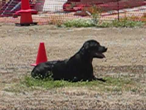 rott