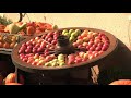 inBewegung (Teil 2) - Eine Reise durch den Landkreis Germersheim