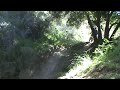 Master Xan's new bike...nice air time! - 