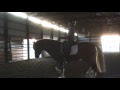 Contact Saddles / Helm Saddles