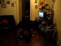 (TEAM-HEAVY) YUNG-STAR , RICH-KID & KISSEZ ( LITE FEET )