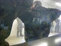 Gas Chamber Two