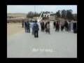 Near to pyramids/Рядом с пирамидами