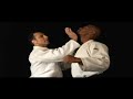 Danzan Ryu NYC Jujitsu demo