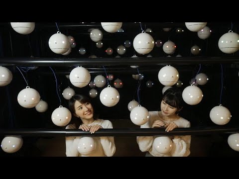 動画