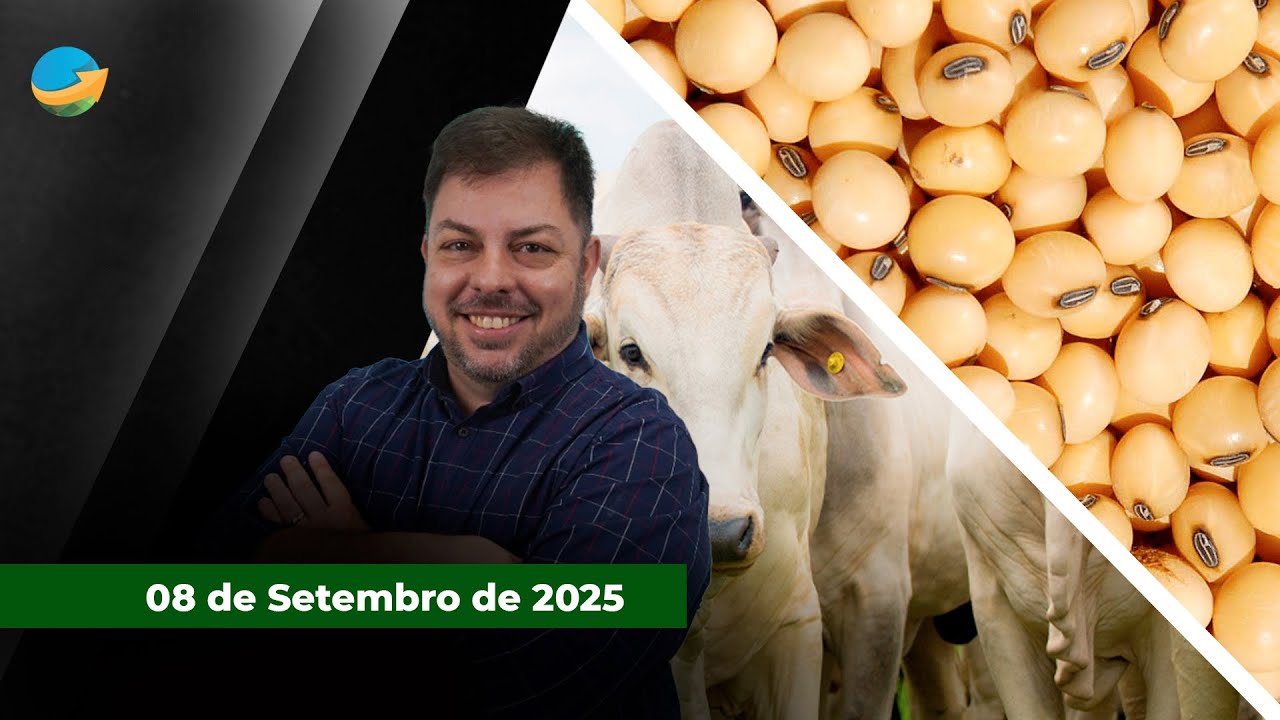 Farelo de soja sobe com cenário político conturbado na Argentina e puxa grão; arroba do boi gordo...
