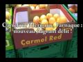 Carrefour Menteur !