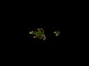 Spore Creature Creator Video