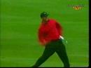 tiger woods tiger woods