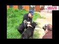 Czes�aw Mozil odwiedzi� schronisko dla zwierz�t 