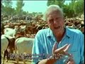 Mali Fulani Herdsmen
