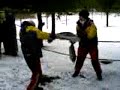 Pelea con bolsas 1