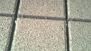 video thumbnail Washing Spray Device youtube