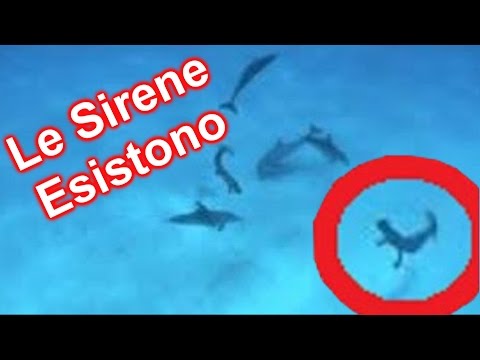 10 Avvistamenti di una SIRENA ripresi da una telecamera
