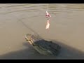 Jumping crocodiles in the Adeleide River