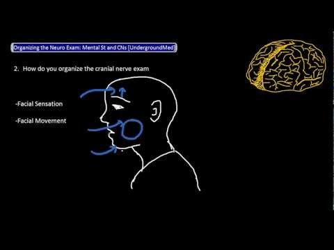 how to write up neuro exam