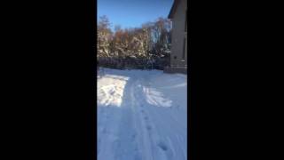 Snow Snow Snow