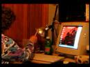 experiment.html