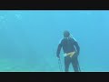 Gone to Baja: Spearfishing 101 Trailer Gone to Baja: Spearfishing 101 Trailer
