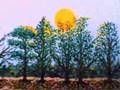 Red Hot Chili Peppers - Behind The Sun