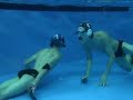 underwater hockey freestyle