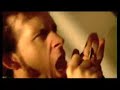 CATTLE DECAPITATION - \