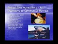Why We Should Make Striped Bass a Game Fish