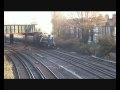 011209 60019 Bittern