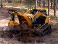 ASV SR80 SKID STEER PUSHING A TREE