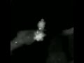 Live Mitosis Fluorescence