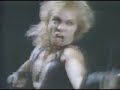WASP Manimal WASP Manimal