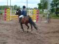 videos de New Forest ponny till salu!!.wmv