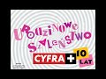C+ 10lat dla TDC Reklama Wizualna C+ 10lat dla TDC Reklama Wizualna