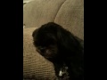 Karma living the life
