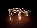 Lighted Reindeer (doe)