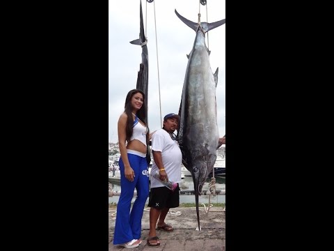 Puerto Vallarta Marlin fishing | My Marlin Puerto Vallarta fishing