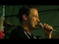 the alley cats live!