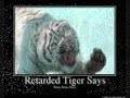 retarded animals.wmv