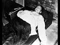 nazi leaders executed at nuremberg