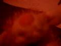 videos de OMG!!