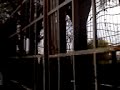 Un dia de locos [parte 6]