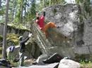 L�se nyrer