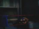 DAW Webcam Compilations