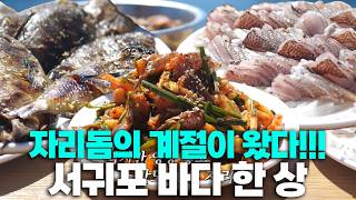제주 올레길