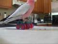 See Video
